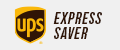 UPS Express Saver Icon